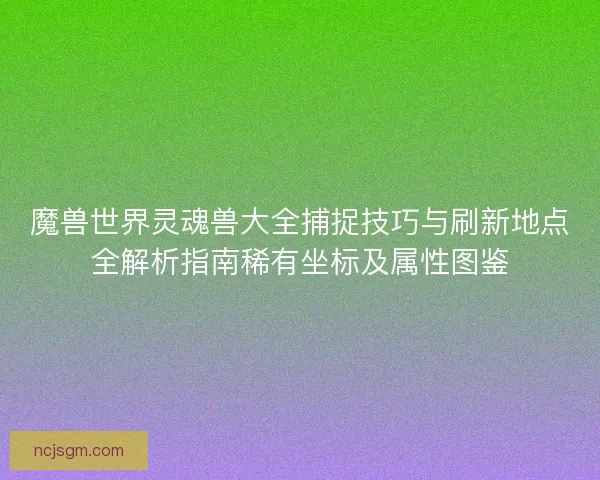 魔兽世界灵魂兽大全捕捉技巧与刷新地点全解析指南稀有坐标及属性图鉴