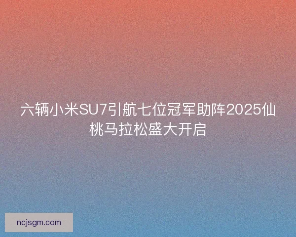 六辆小米SU7引航七位冠军助阵2025仙桃马拉松盛大开启 六辆小米SU7引航七位冠军助阵2025仙桃马拉松盛大开启